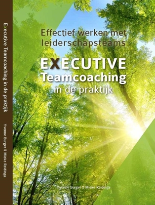 Afbeeldingen van Executive Teamcoaching in de praktijk