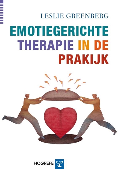 Afbeelding van Emotiegerichte therapie in de praktijk