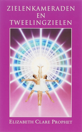 Afbeelding van Gidsen voor praktische spiritualiteit Zielenkameraden en tweeling zielen