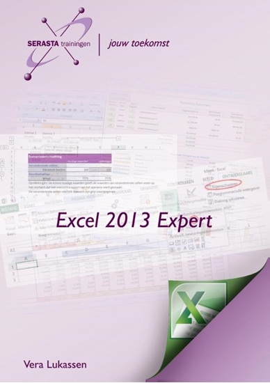 Afbeelding van Excel 2013 Expert Expert