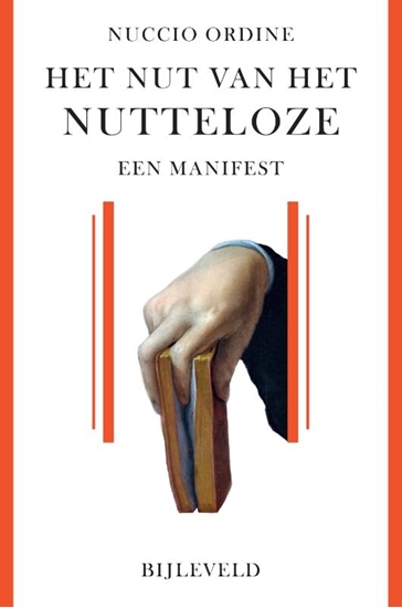 Afbeelding van Het nut van het nutteloze