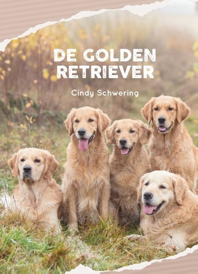Afbeelding van De Golden Retriever