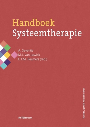 Afbeeldingen van Handboek systeemtherapie
