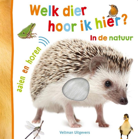 Afbeelding van Welk dier hoor ik hier? in de natuur