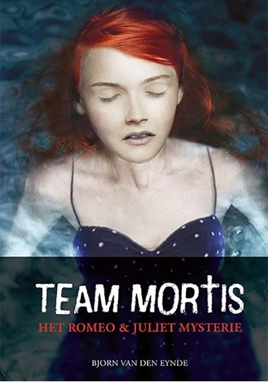 Afbeelding van Het Romeo & Juliet mystery