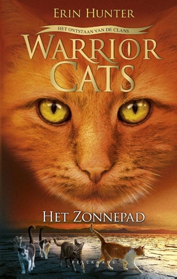 Afbeelding van Het zonnepad