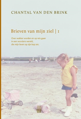 Afbeeldingen van Brieven van mijn ziel 1993-1999