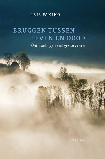 Afbeelding van Bruggen tussen leven en dood