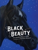 Afbeelding van Wereldklassiekers Black Beauty