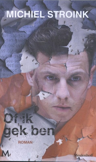 Afbeelding van Of ik gek ben