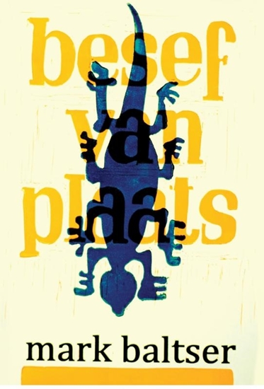 Afbeelding van Besef van Plaats