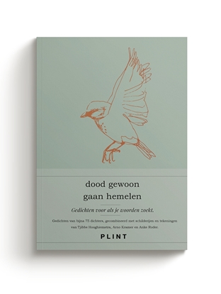 Afbeeldingen van Plint dood gewoon gaan hemelen - bloemlezing