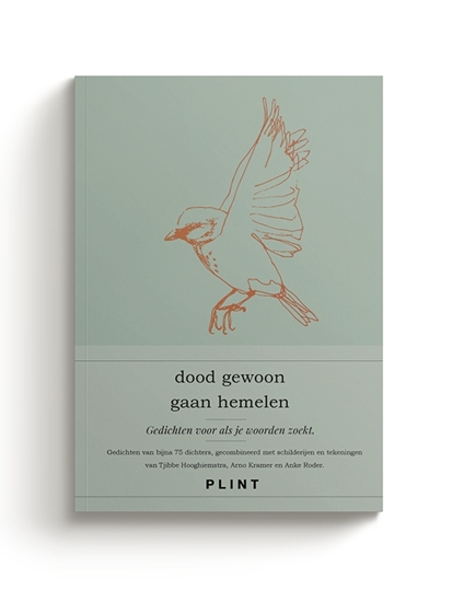 Afbeelding van Plint dood gewoon gaan hemelen - bloemlezing