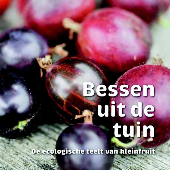 Afbeelding van Bessen uit de tuin