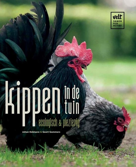 Afbeelding van Kippen in de tuin