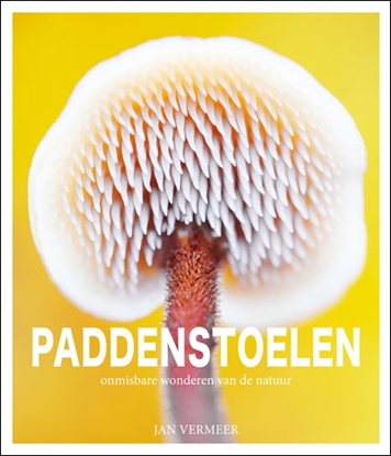 Afbeeldingen van PADDENSTOELEN