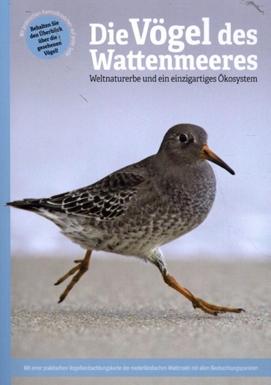 Afbeelding van Die Vögel des Wattenmeeres