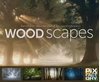 Afbeelding van Handboeken spectaculaire fotografie Woodscapes