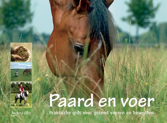 Afbeelding van Paard en voer