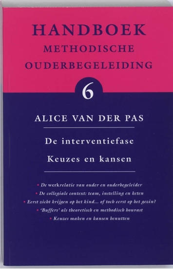 Afbeelding van Handboek methodische ouderbegeleiding De interventiefase Keuzes en kansen