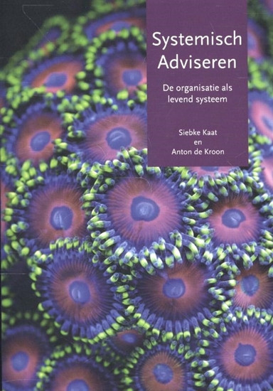 Afbeelding van Systemisch adviseren