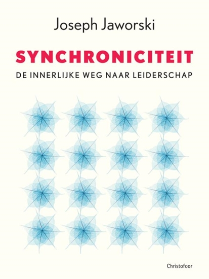Afbeelding van Synchroniciteit