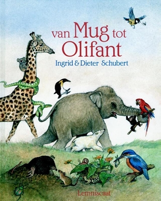 Afbeeldingen van Van mug tot olifant