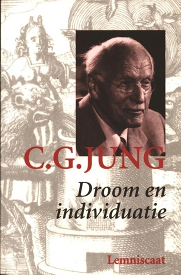 Afbeelding van Verzameld werk C.G. Jung Droom en individuatie