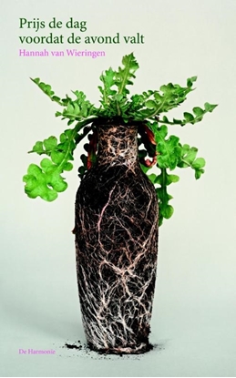 Afbeeldingen van Prijs de dag voordat de avond valt