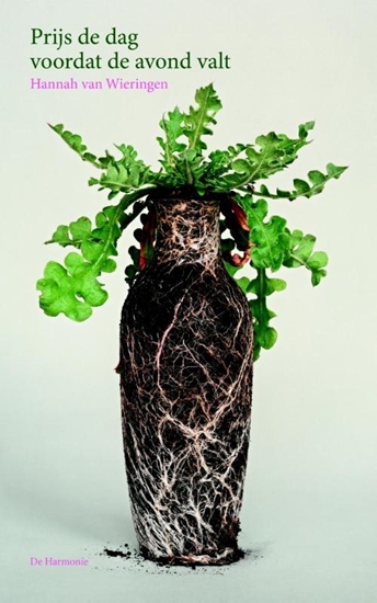 Afbeelding van Prijs de dag voordat de avond valt