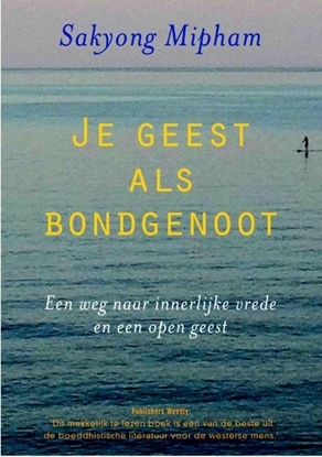 Afbeeldingen van Je geest als bondgenoot