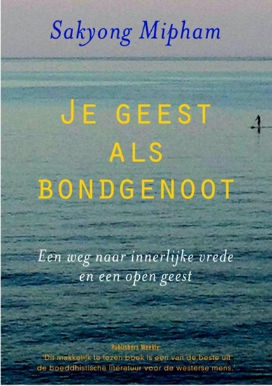 Afbeelding van Je geest als bondgenoot