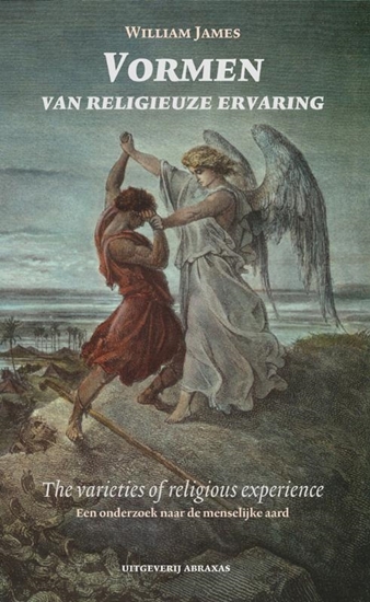 Afbeelding van Abraxas/Pedagogiek Vormen van de religieuze ervaring