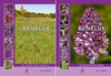Afbeelding van Orchideeën van de Benelux