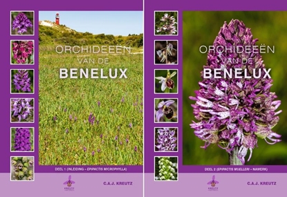 Afbeeldingen van Orchideeën van de Benelux