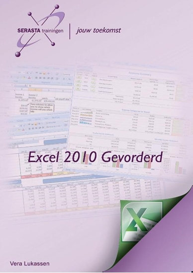 Afbeelding van Excel 2010 Gevorderd