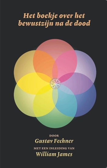 Afbeelding van Fenomenologische Mystieken Het boekje over het bewustzijn na de dood