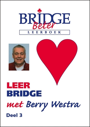 Afbeeldingen van Leer bridge met Berry5 deel 3 3