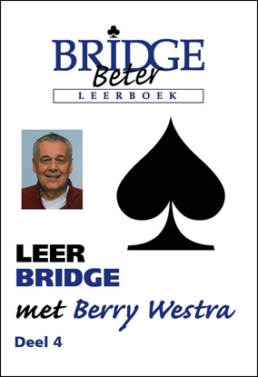 Afbeeldingen van Leer bridge met Berry Westra 4