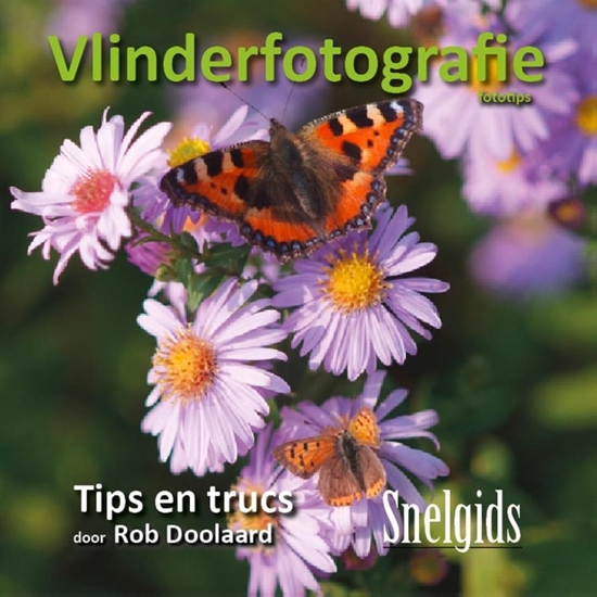 Afbeelding van Vlinderfotografie