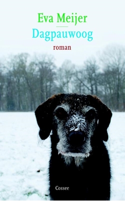 Afbeeldingen van Dagpauwoog