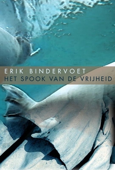 Afbeelding van Het spook van de vrijheid