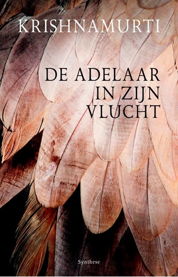 Afbeelding van De adelaar in zijn vlucht