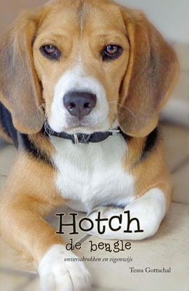 Afbeeldingen van Hotch de Beagle