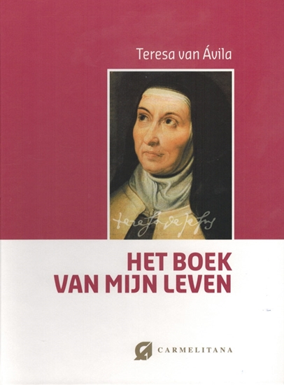 Afbeelding van Het boek van mijn leven