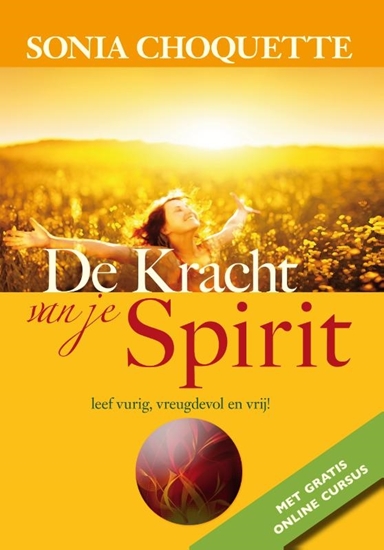 Afbeelding van De kracht van je spirit