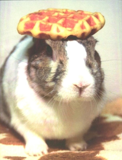 Afbeelding van In Almost Every Picture In almost every picture