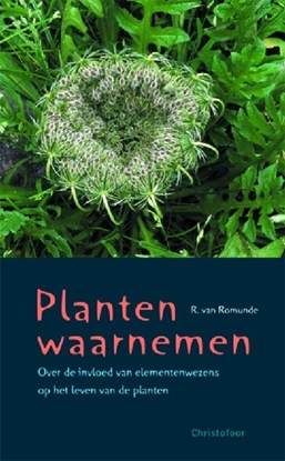 Afbeeldingen van Planten waarnemen