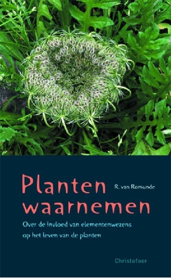 Afbeelding van Planten waarnemen