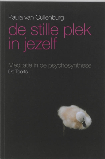 Afbeelding van De stille plek in jezelf